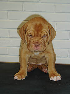 Zhakira 6 weeks